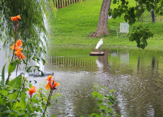 Willows at Wright Island Apartments